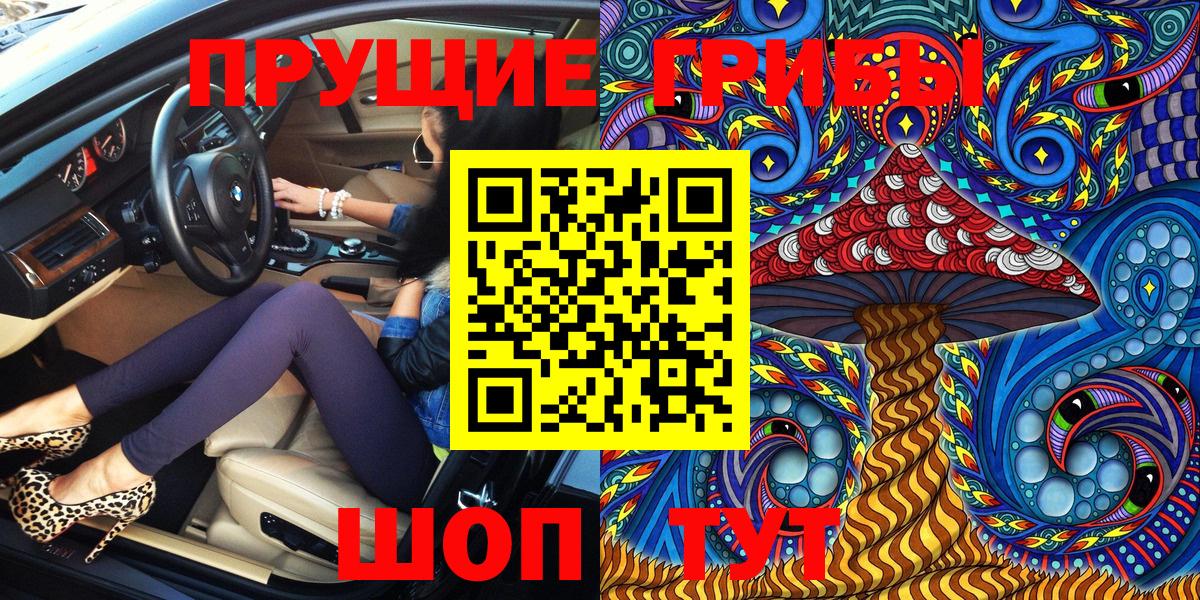 Псилоцибиновые грибы Magic Shrooms  купить закладку  Вход с VPN  Бутурлиновка  Галлюциногенные грибы Psilocybine cubensis 
