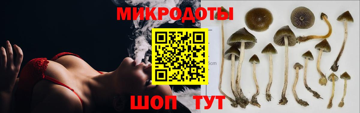 Псилоцибиновые грибы прущие грибы Бутурлиновка